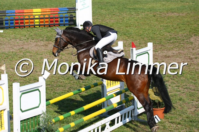 105M3260_Ally Mc Beal_Spring_A.JPG